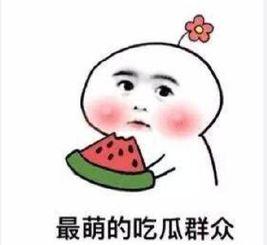 娱乐吃瓜酱不好意思,不好意思，这瓜太香了！