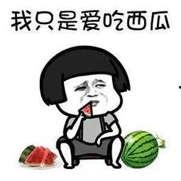 娱乐吃瓜酱不好意思,不好意思,这瓜太香了!